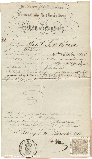 Study certificate at the University of Heidelberg