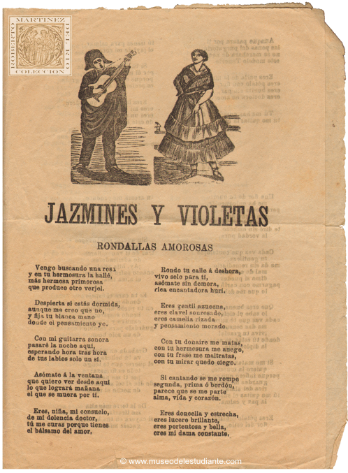 Jazmines y violetas