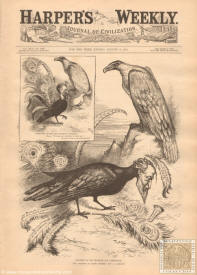 Harpers Weekly - 1881
