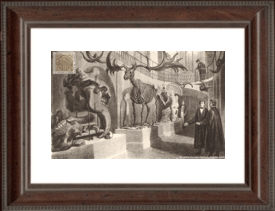 Museo de Geologa de Cambridge, 1842